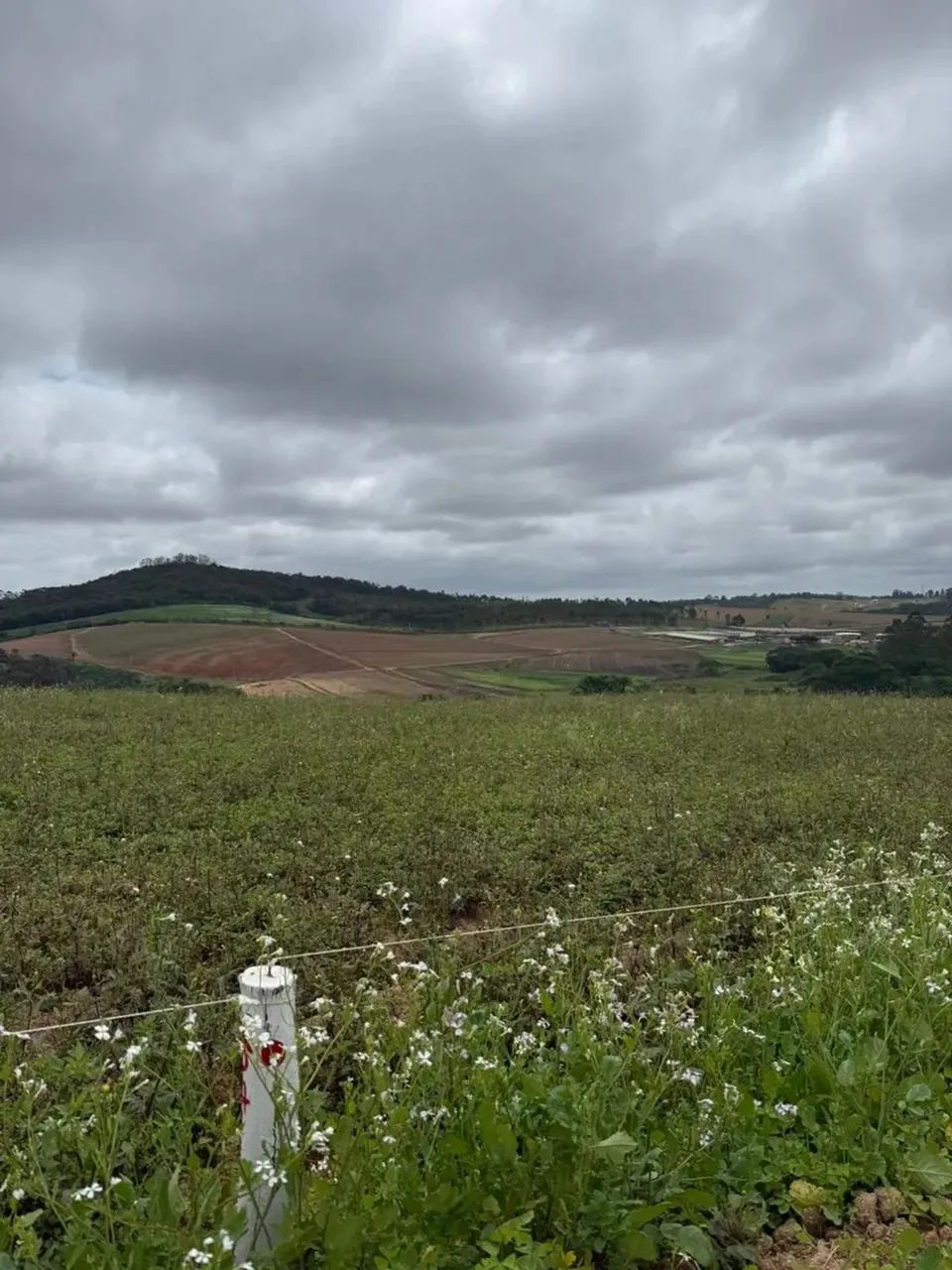 Lotes 500m² em Cotia/SP: Seu Novo Endereço sem Taxa de Condomínio! - Foto 8