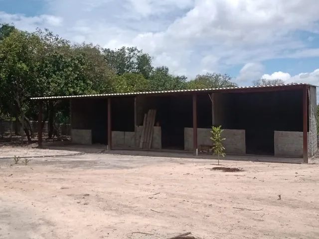 Chácara  - Foto 5
