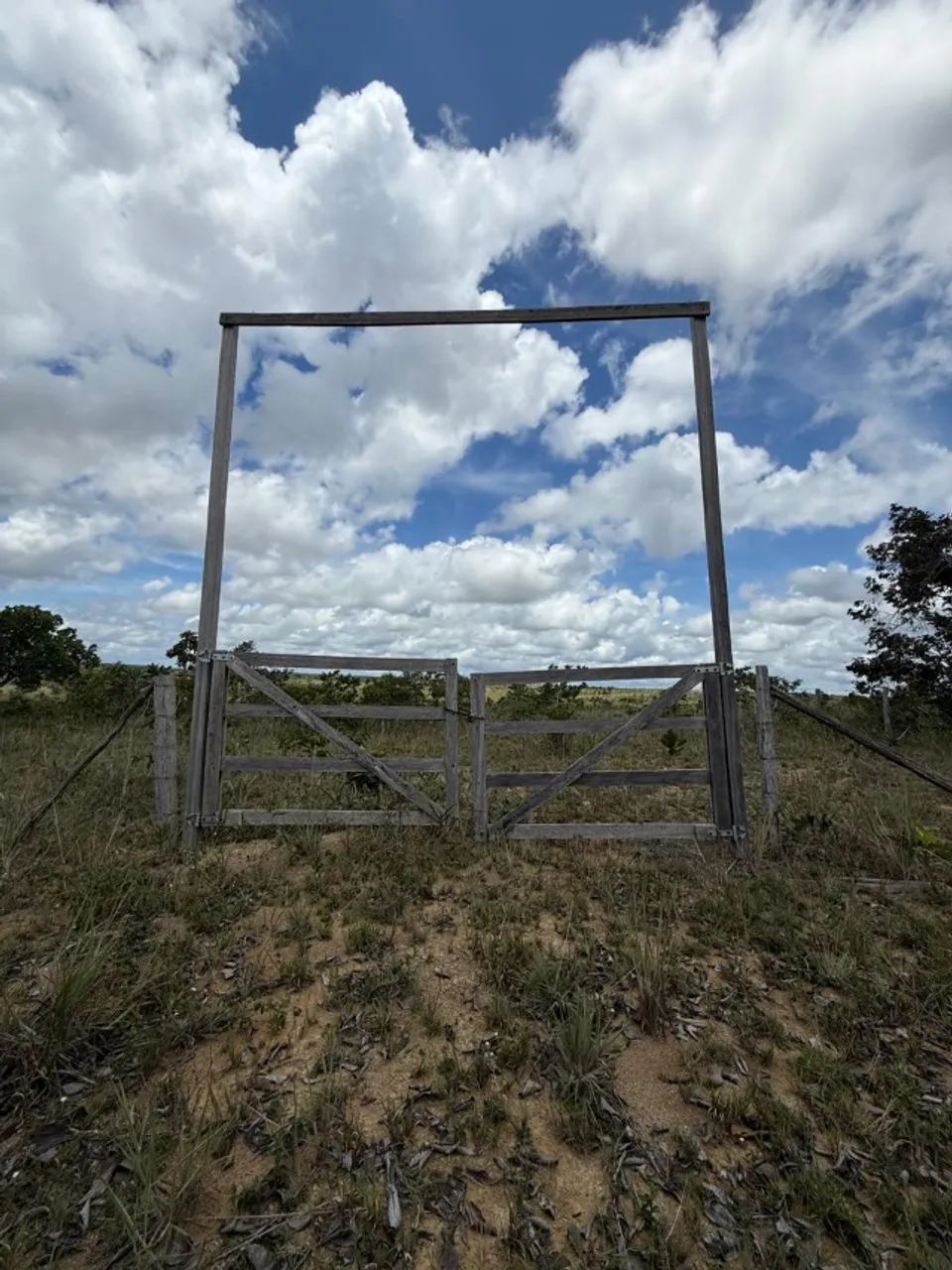 Vendo Sítio á 35 km de Santana na localidade Maçaranduba II