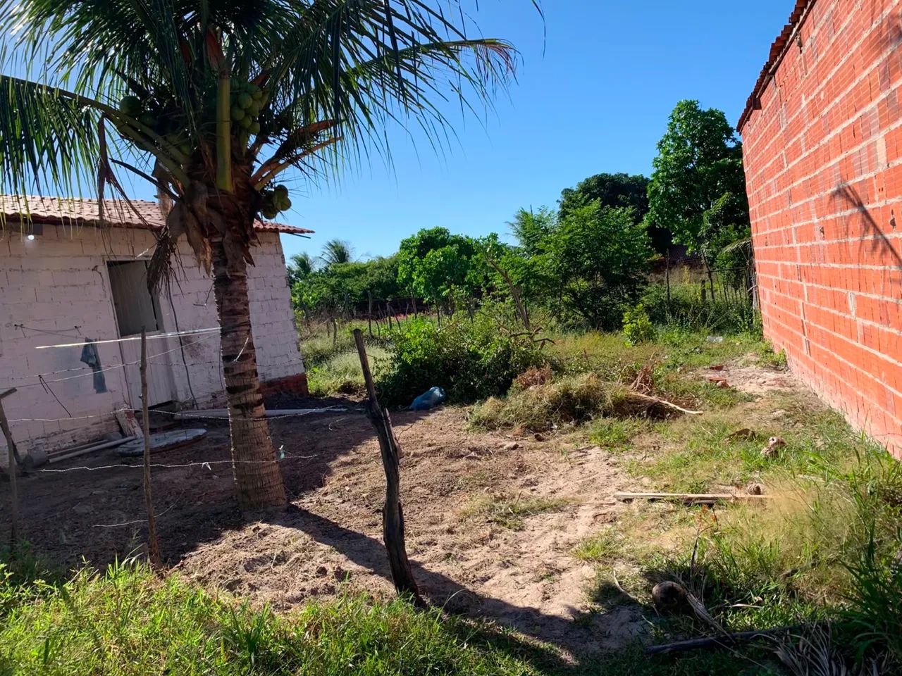 Terreno com casa - Foto 3