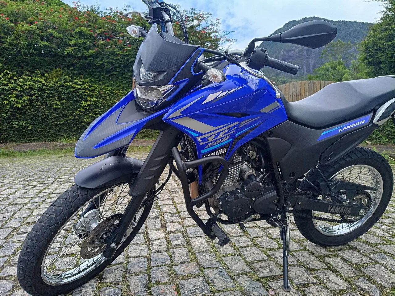 Lander Yamaha 2021 - Foto 3