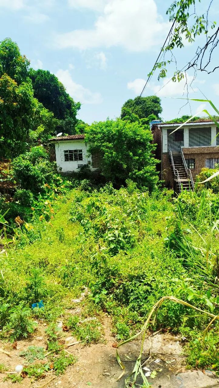 Serviços de limpeza e jardinagem - Foto 2