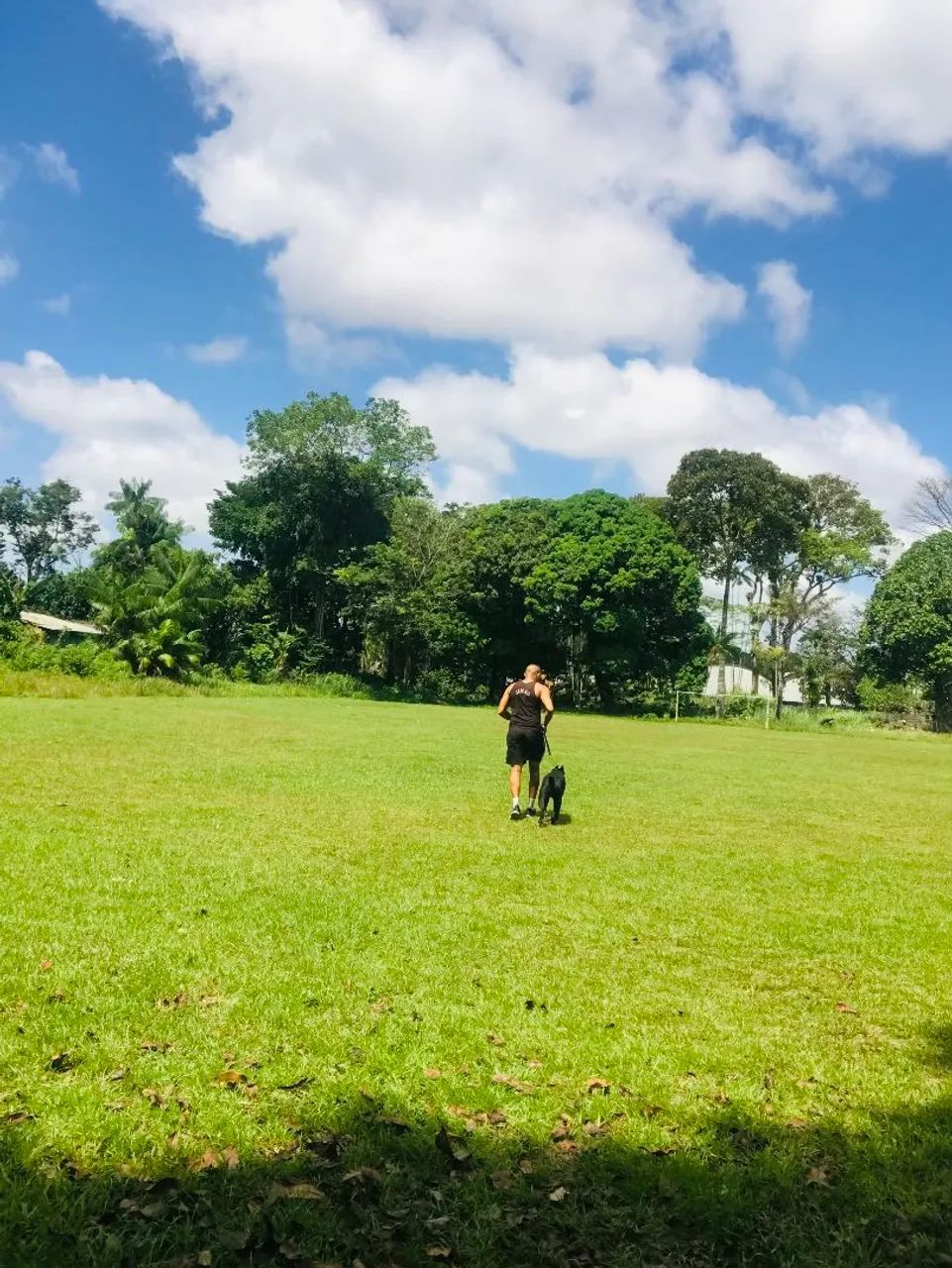 Adestrador de cães  - Foto 3