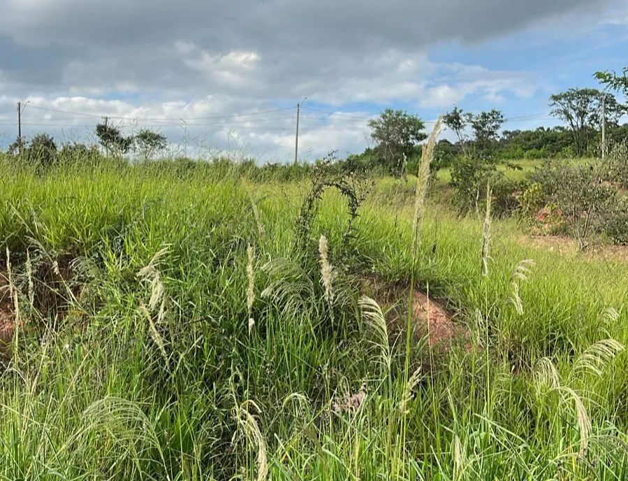 VENDE-SE SÍTIO EM TAPIRAÍ  - Foto 7
