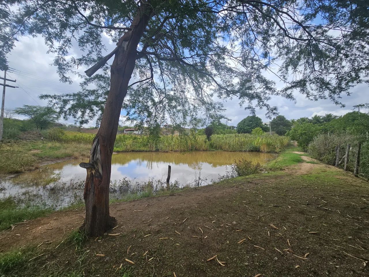 Vendo Sítio em Boqueirão  - Foto 5
