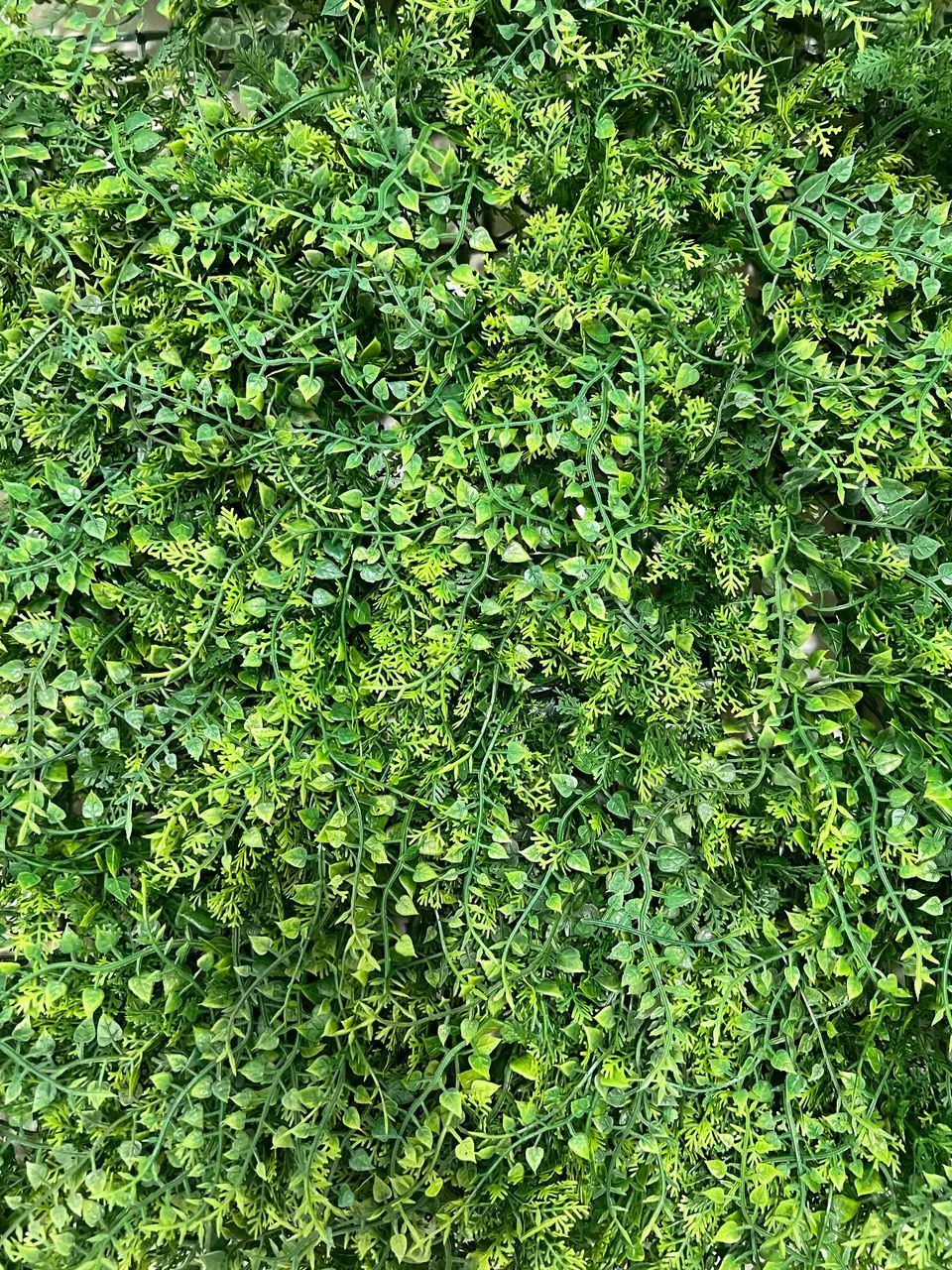 Jardim vertical (artificial) - Foto 3