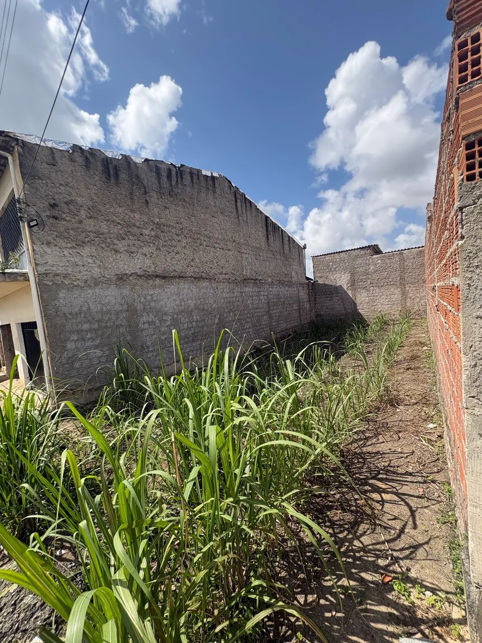 Vendo terreno em Rio Largo - Foto 2