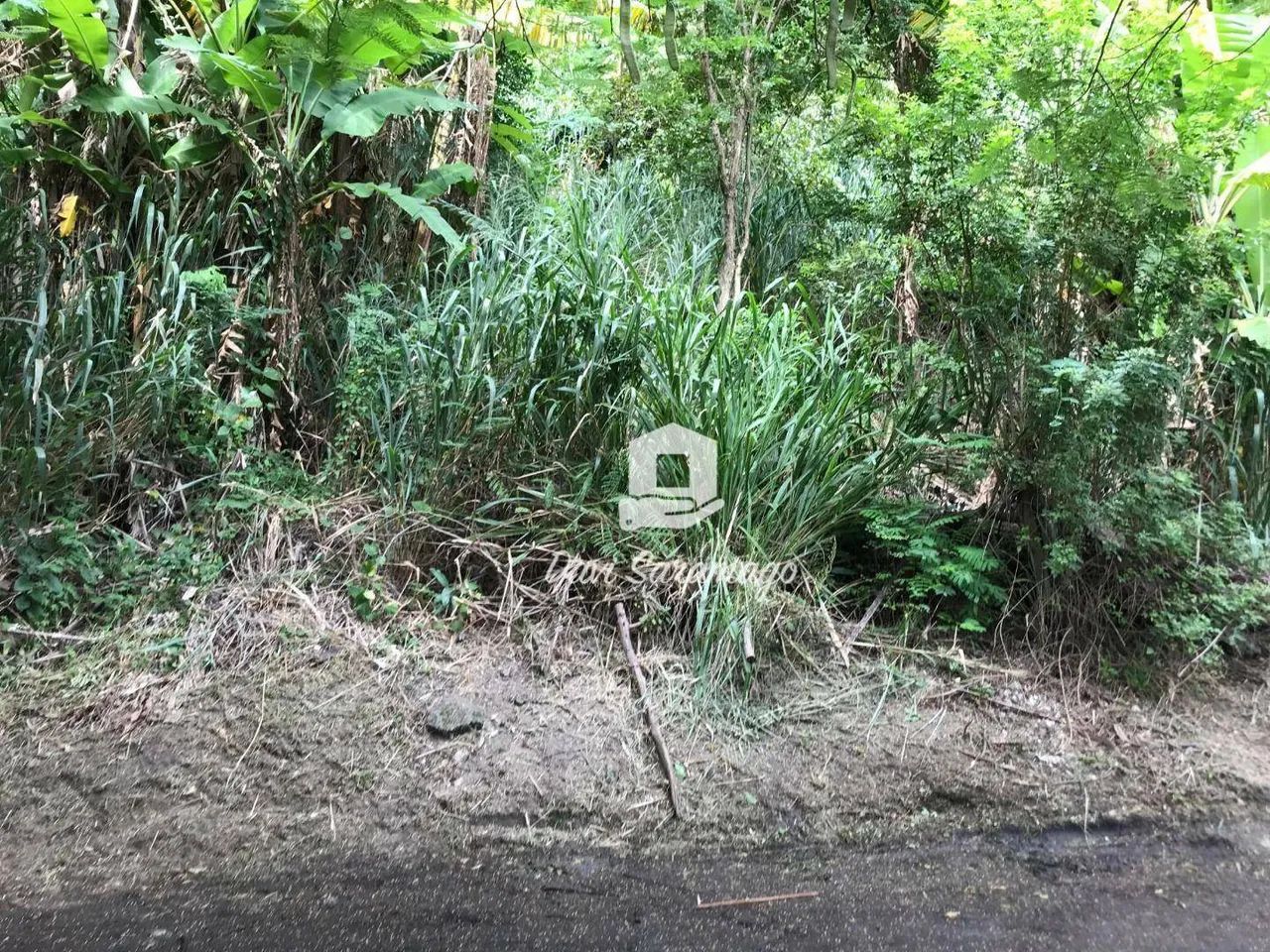 Terreno de 768m² à Venda em Piratininga - Foto 3