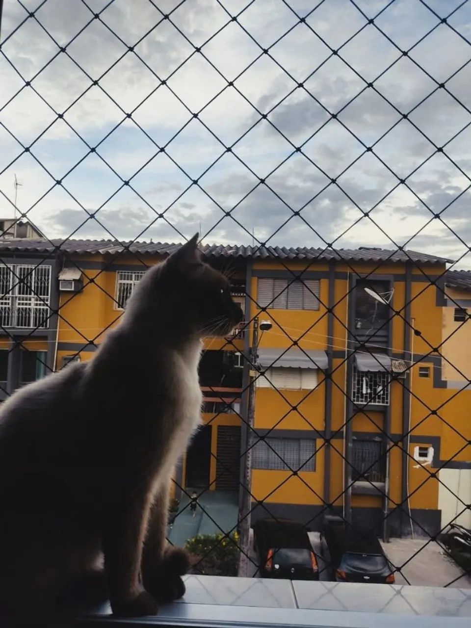 Telas de Proteção  - Foto 2