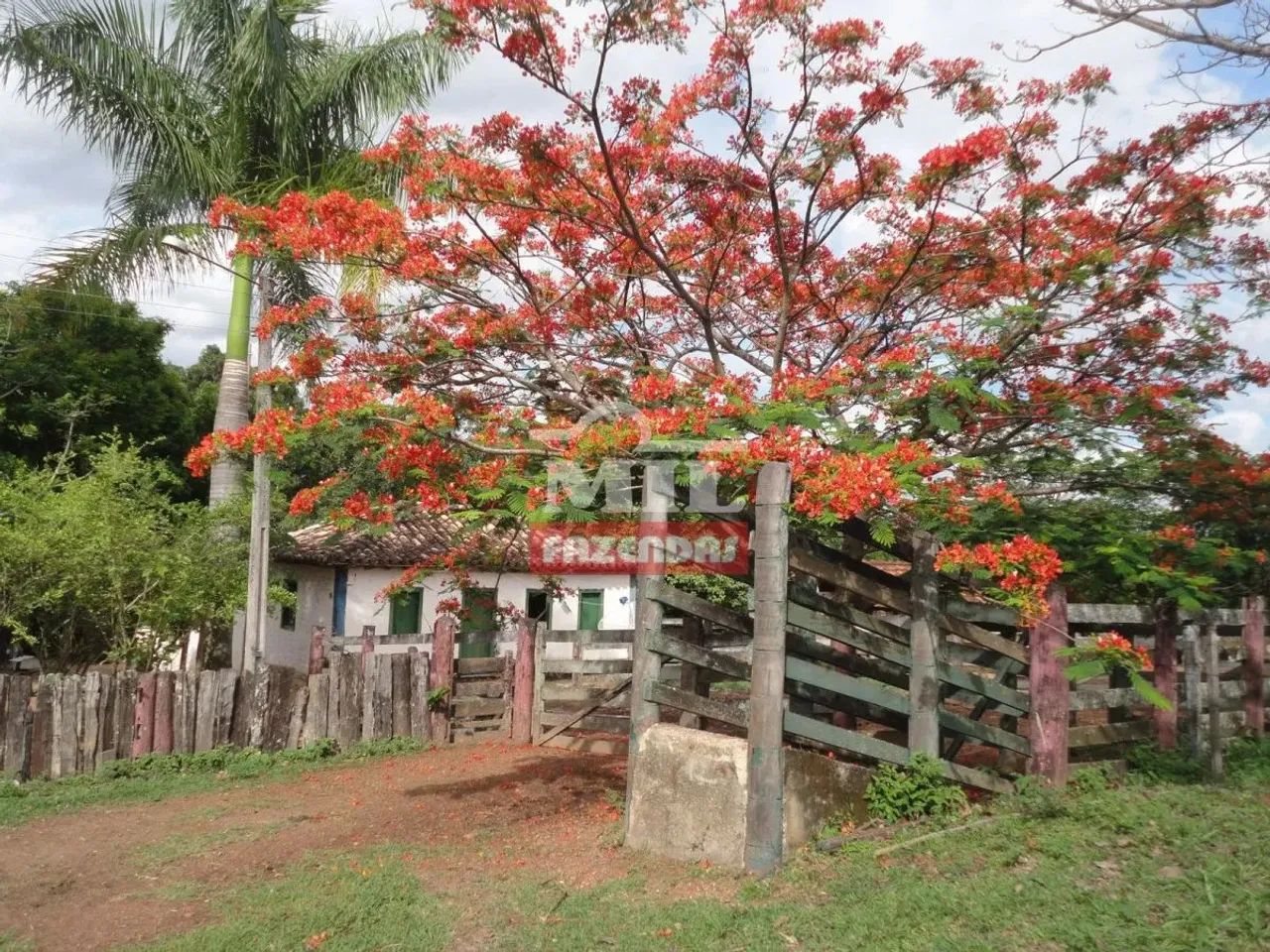 Fazenda em Ipameri 45,3 Alqueires (219 Hectares) - Foto 2
