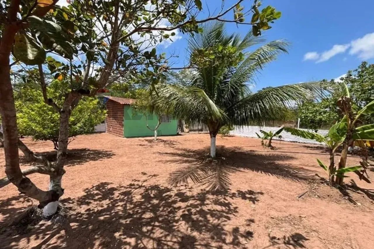 SITIO EM SAO JOSE MIPIBU - Foto 5