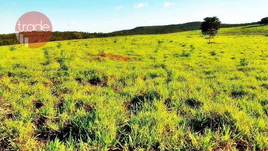 Fazenda rural à venda, Setor Central, Pedro Afonso. - Foto 2