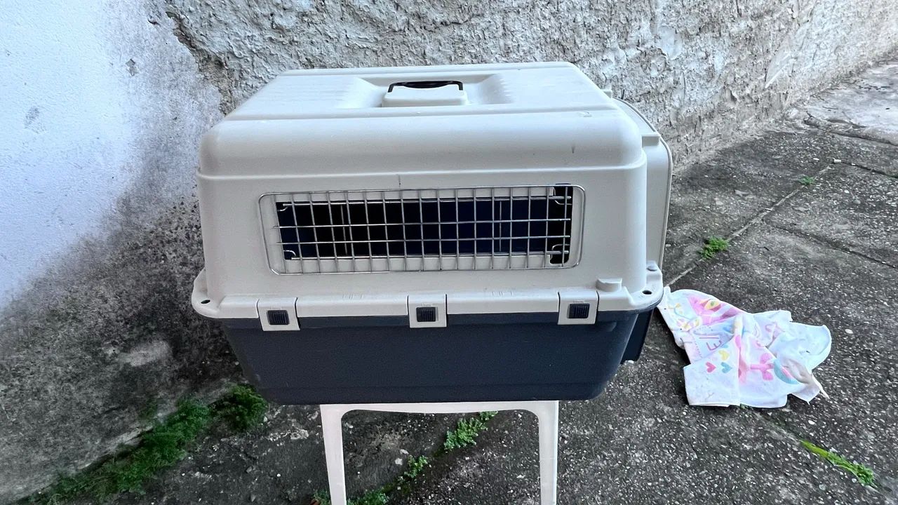 Casinha de cachorro  - Foto 3