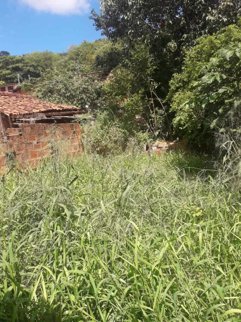 Terreno  5x18 - Foto 4