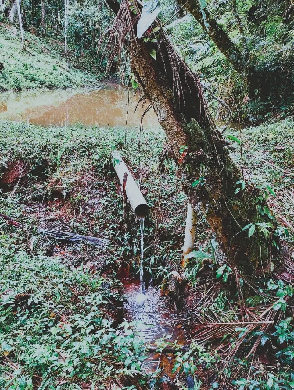Sítio a venda  - Foto 3
