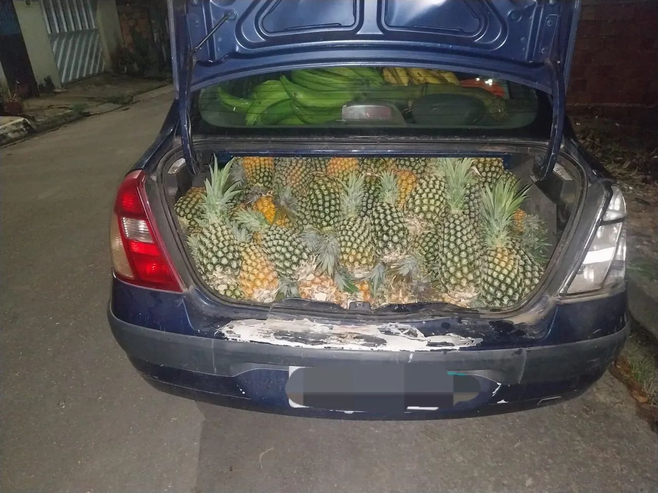 Abacaxi 5 rais 