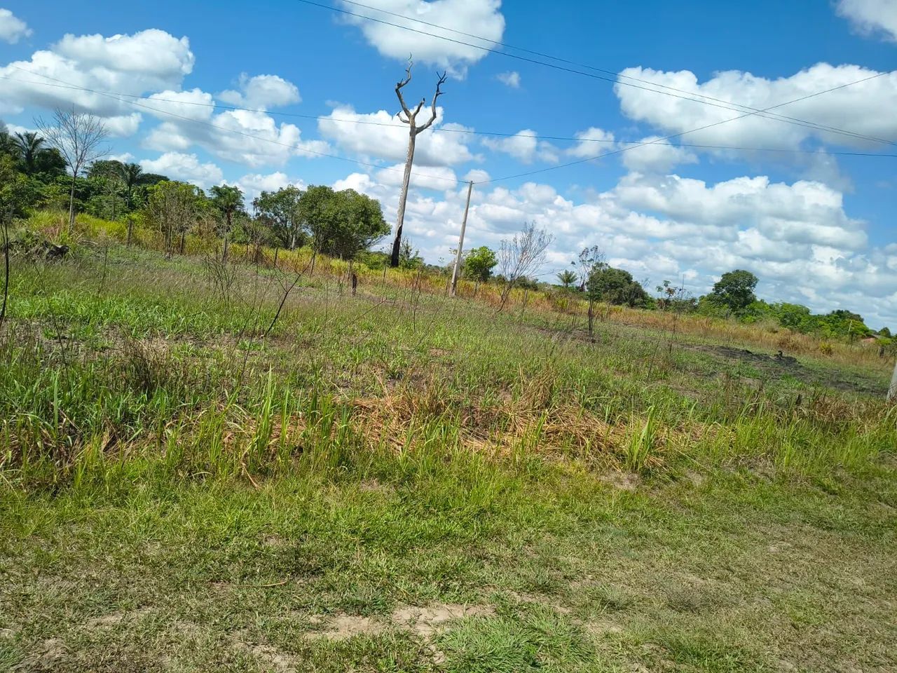 Vende-se - Foto 4