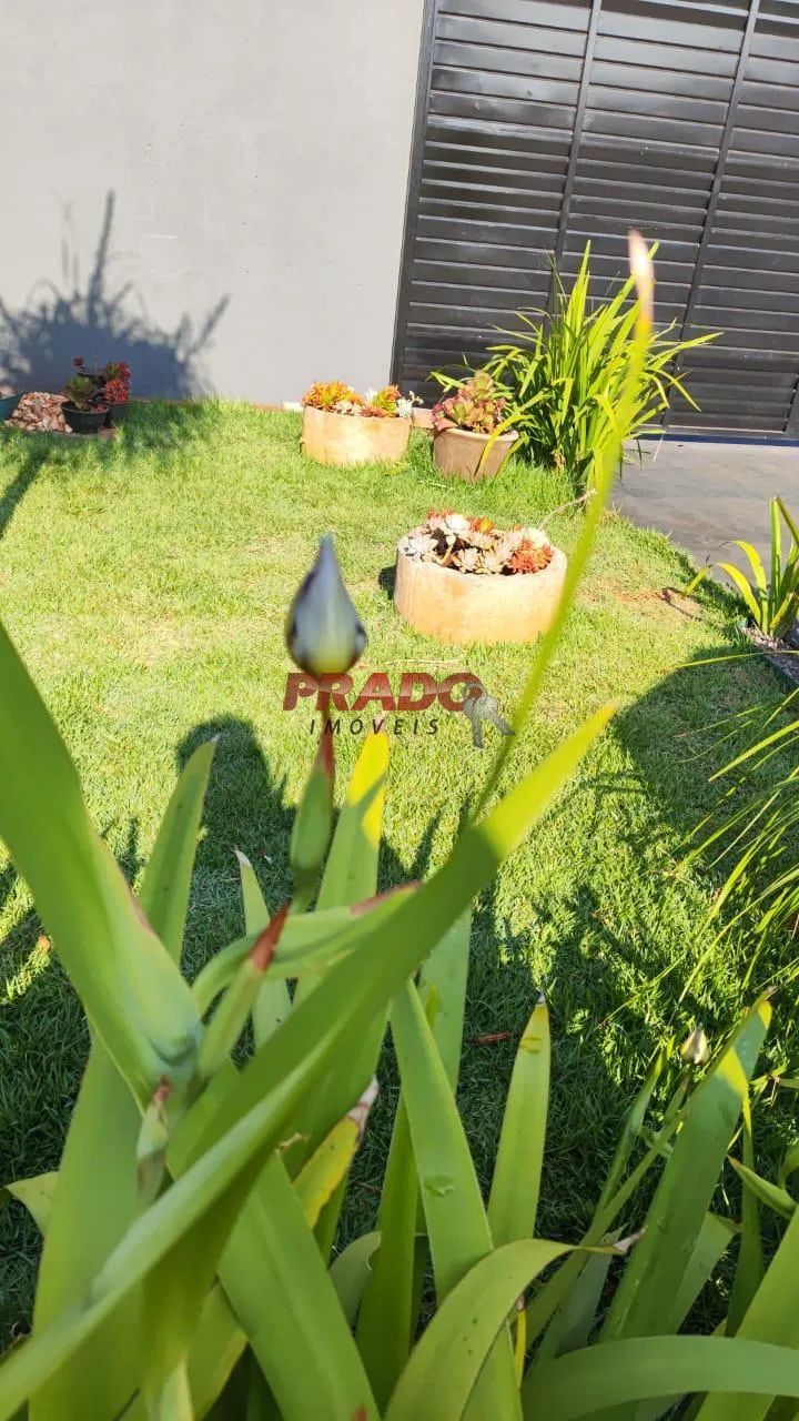 Chácara à venda em Paiçandu, Centro, com 1 quarto, com 175 m² - Foto 4
