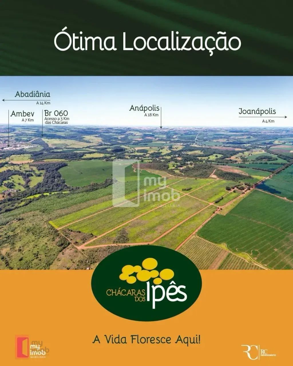 Chácara à venda próximo a Joanópolis - 20 min de Anápolis - PARCELADAS - Foto 3