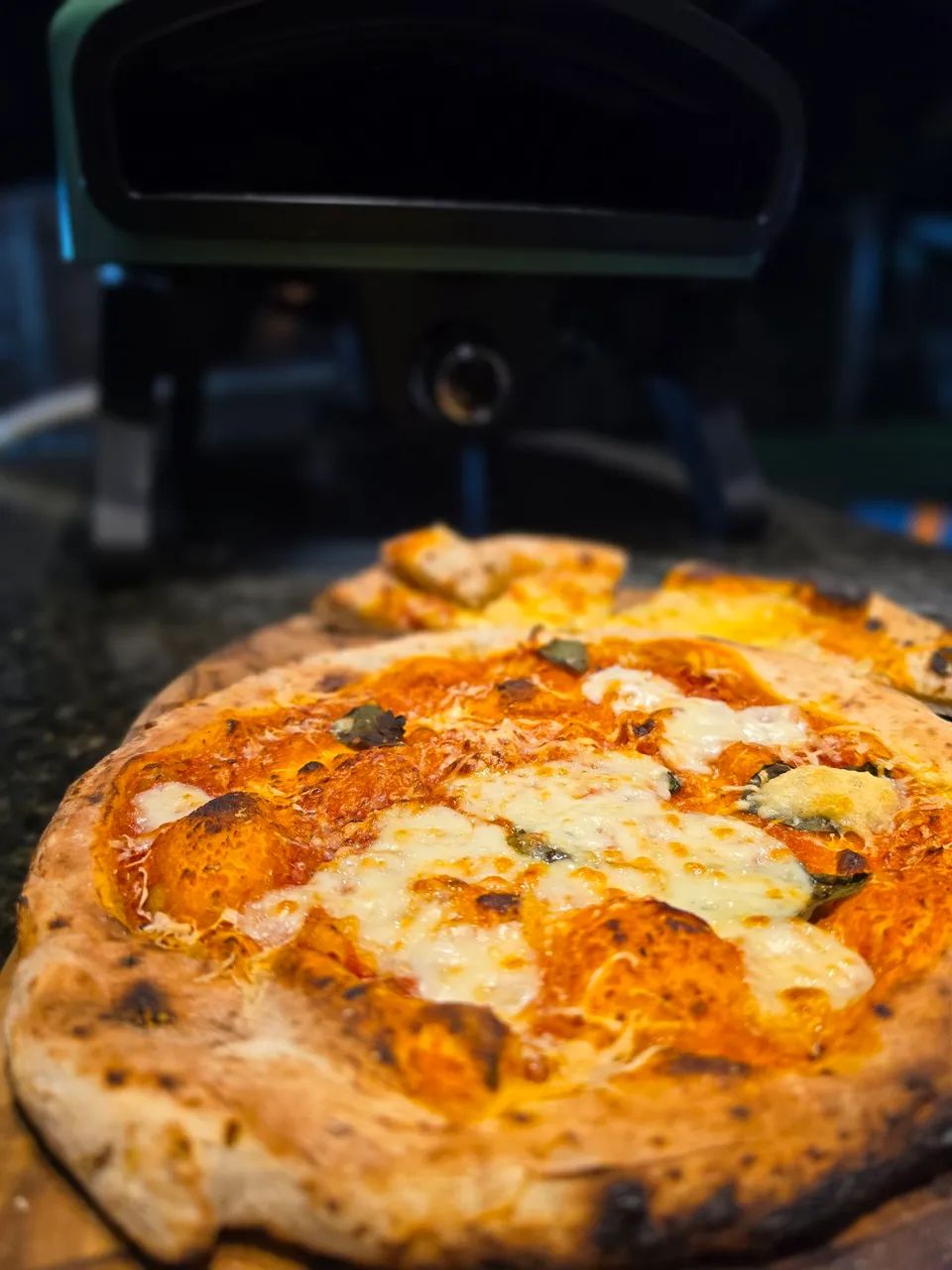 Forno de pizza a gás  - Foto 4
