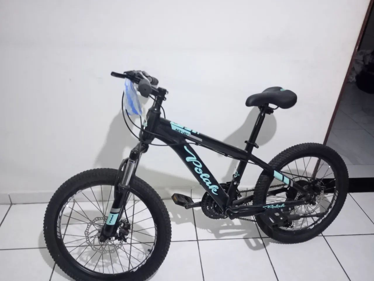Bicicleta Polak 21 marchas