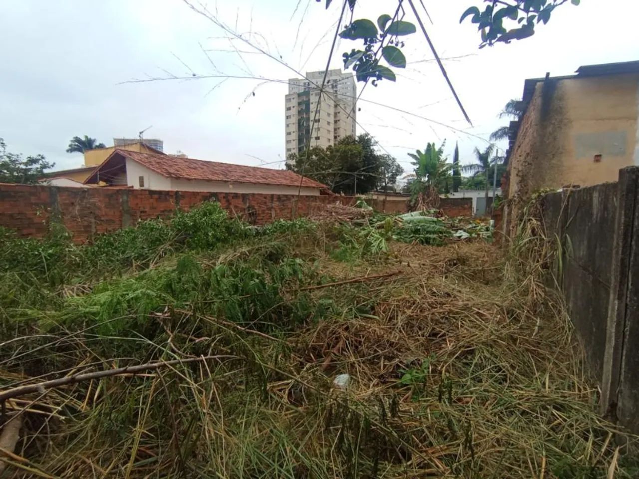 Lote - Parque Amazônia - Foto 4
