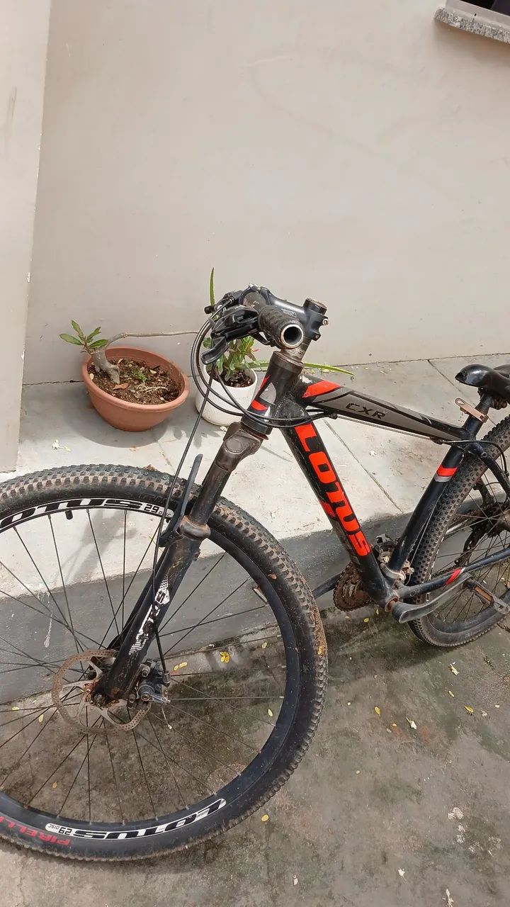 Bicleta