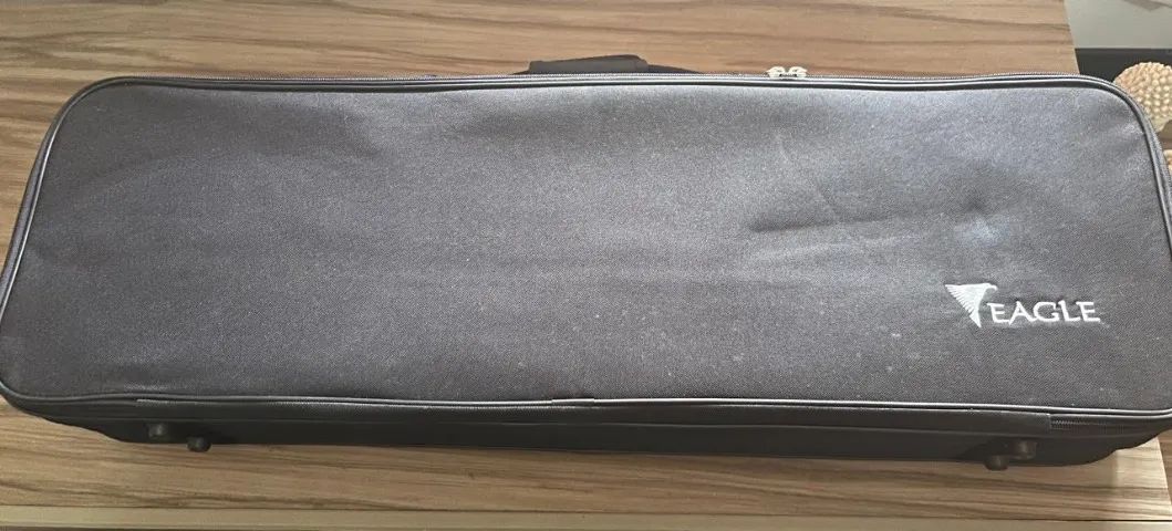 Violino Eagle VE 441 4/4 - Foto 3