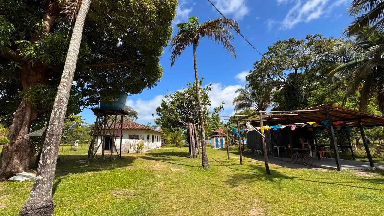 As margens do rio paracauari - Foto 3