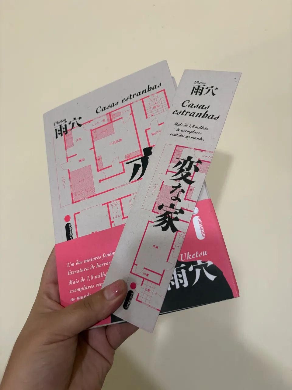 Livro casas estranhas