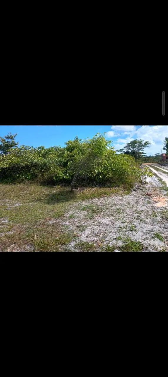 Terreno em rápido desenvolvimento  - Foto 2
