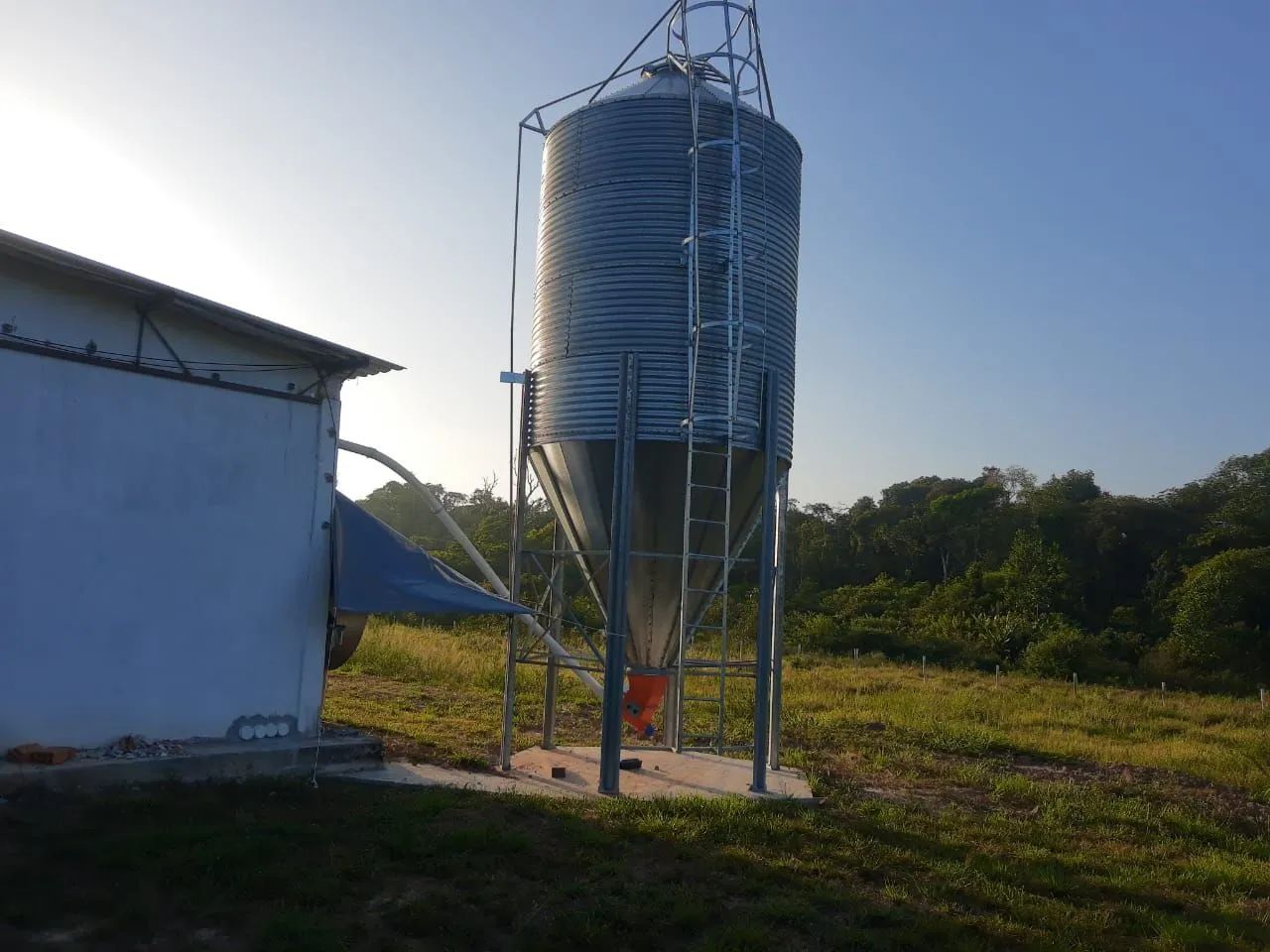 VENDO GRANJA AUTOMATIZADA EM FUNCIONAMENTO - Foto 4