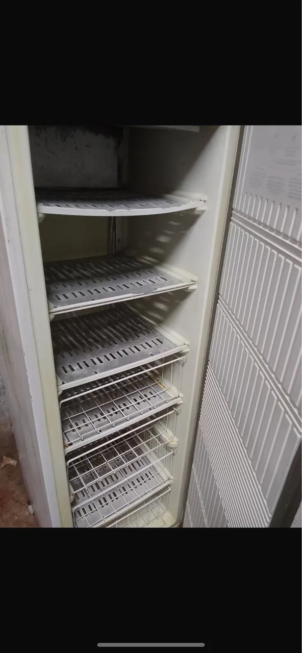 Freezer vertical 
