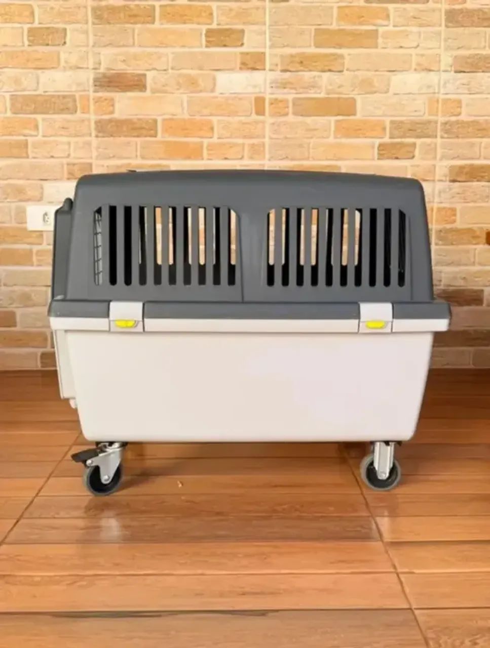 Caixa para Transporte de Pets | Seminova - Foto 4