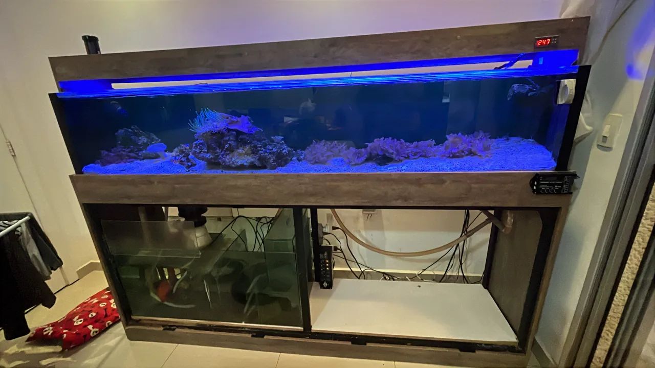 Aquário completo  - Foto 3