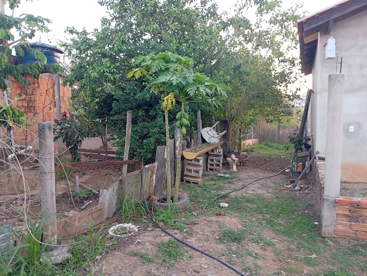 SÍTIO A VENDA *10 - Foto 3