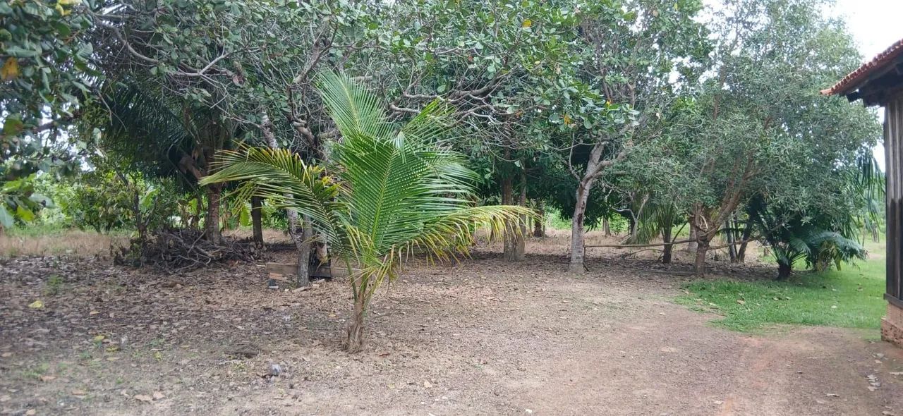 5 alqueire de terra. Ideal para quem quer criar gado - Foto 2