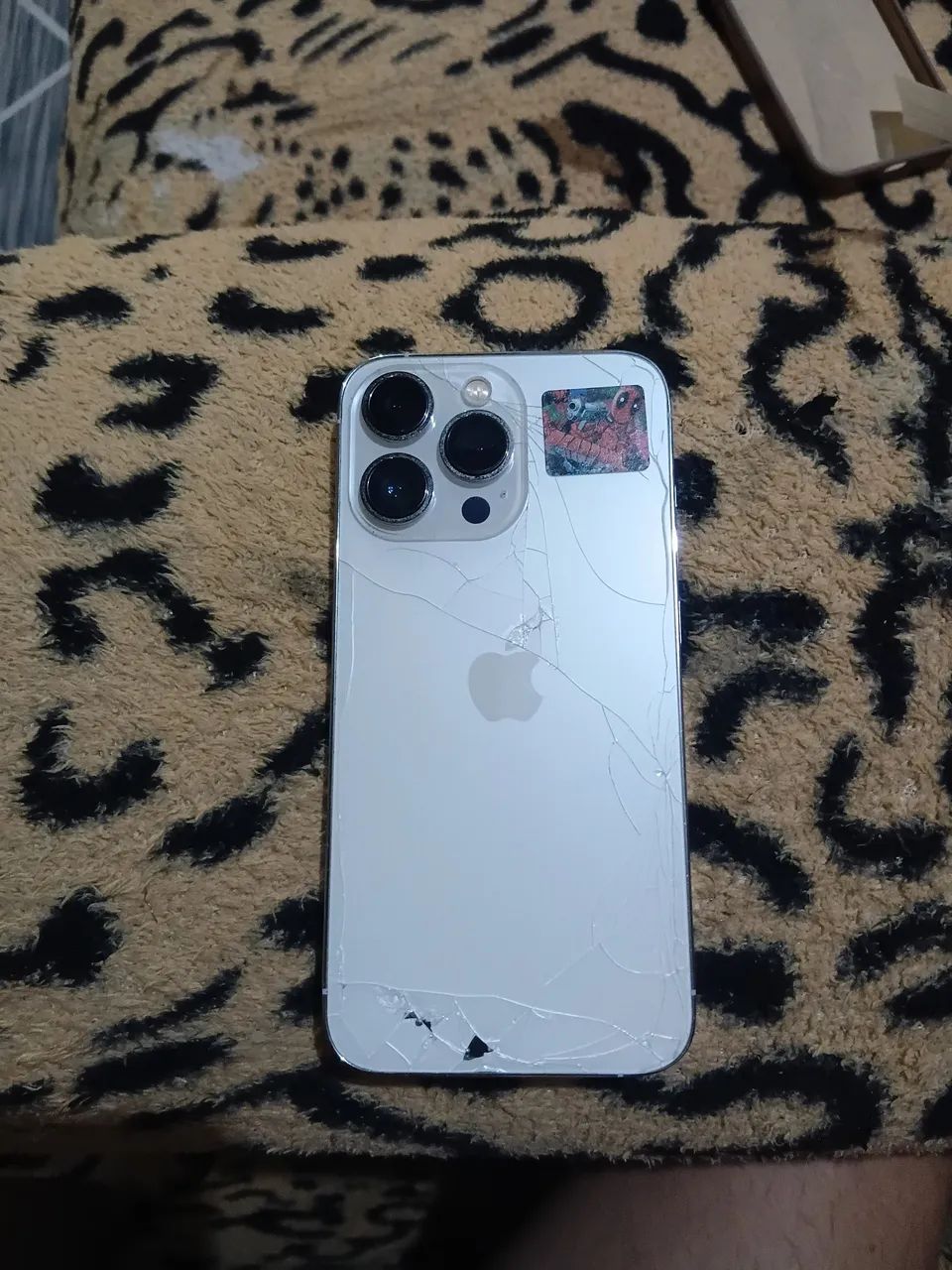 iPhone 13 Pro 