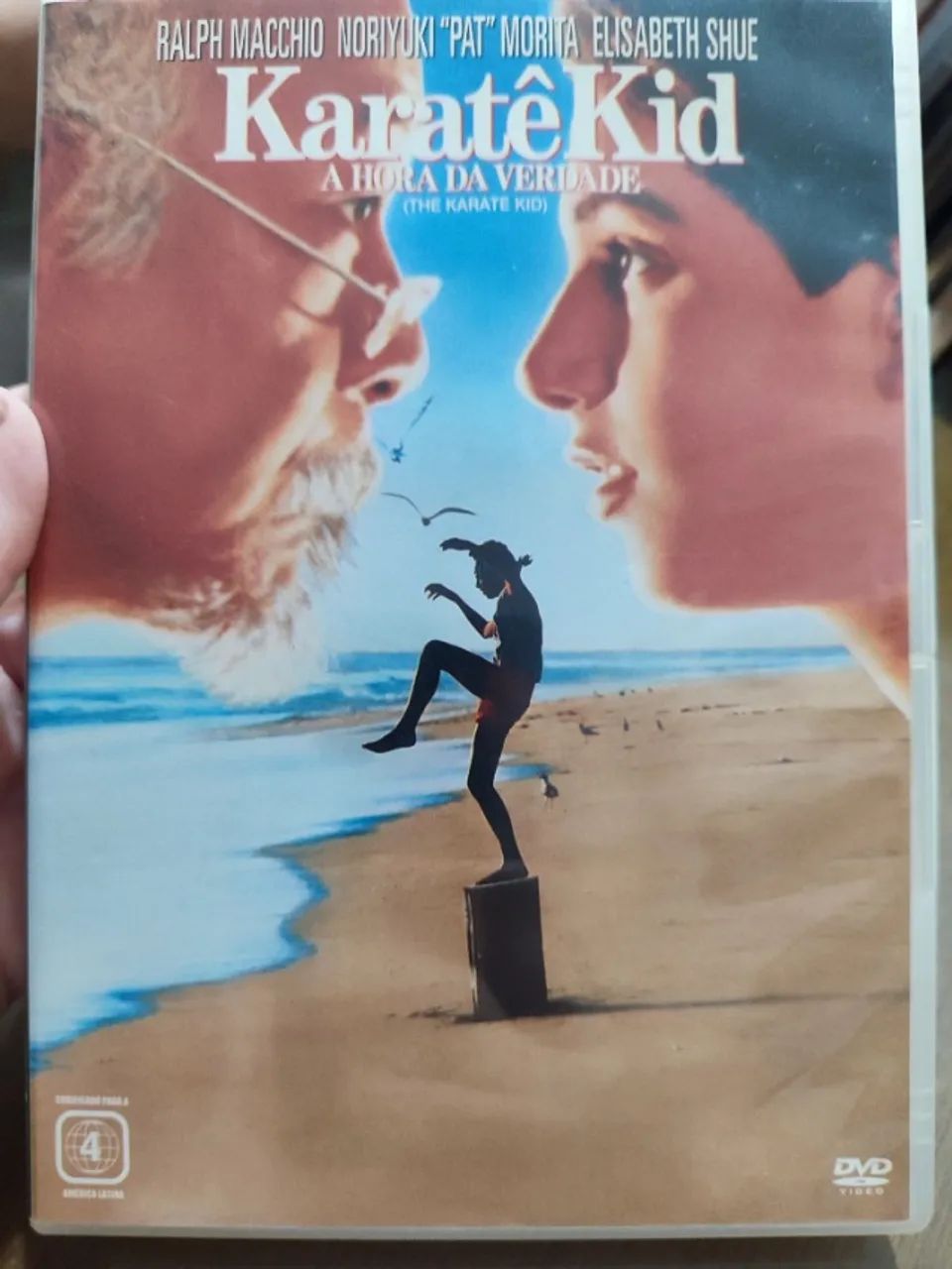DVD Karatê Kid