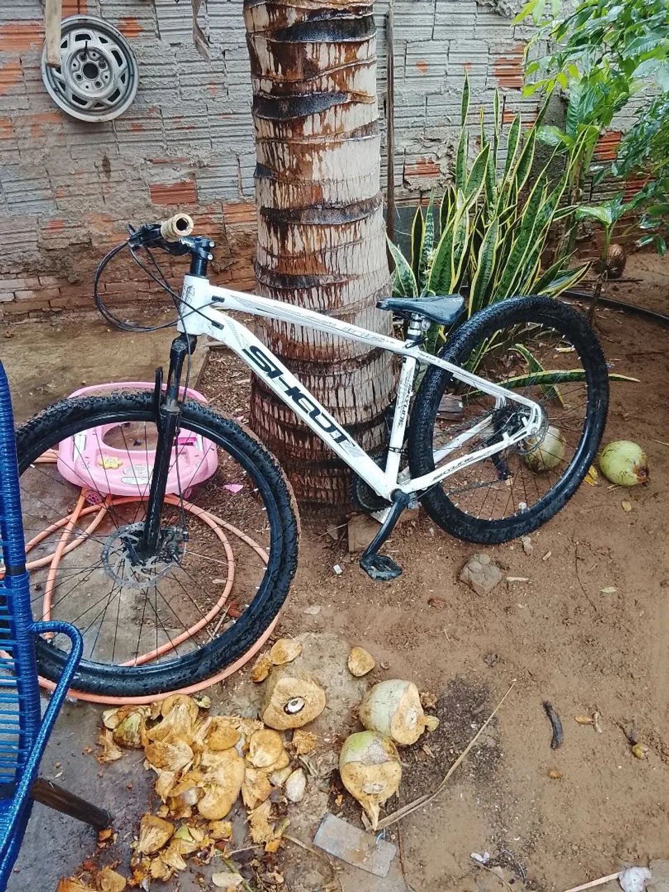 Bike - Foto 3