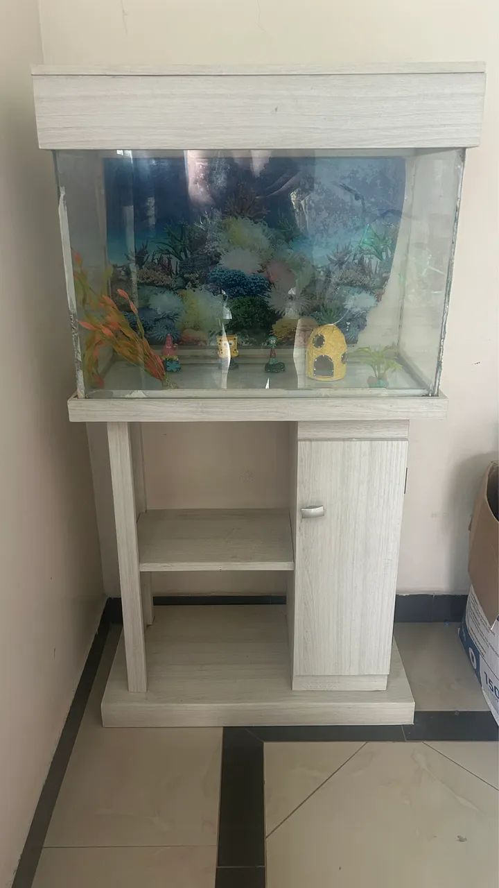 Aquário  - Foto 2