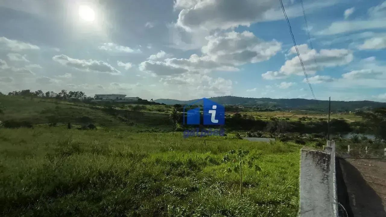Área com 60.000 m² às margens da BR 232 em Pombos - PE - Foto 3