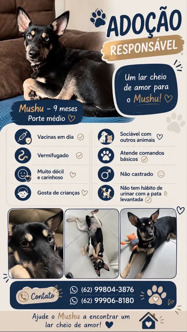 ADOÇÃO RESPONSÁVEL 