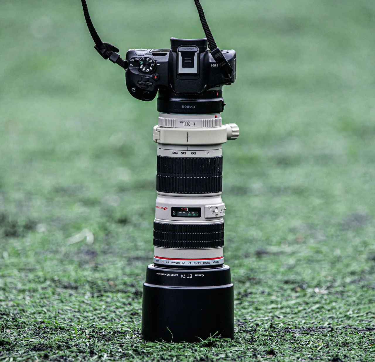 最終出品 CANON EF70-200mm F4L USM Canon 70 200 F4 L USM - Usada em estado IMPECÁVEL - Acessórios