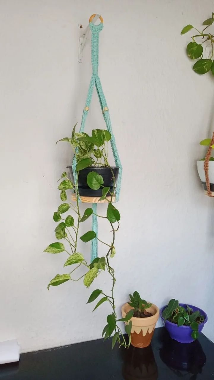 Suporte de plantas macramé - Foto 2