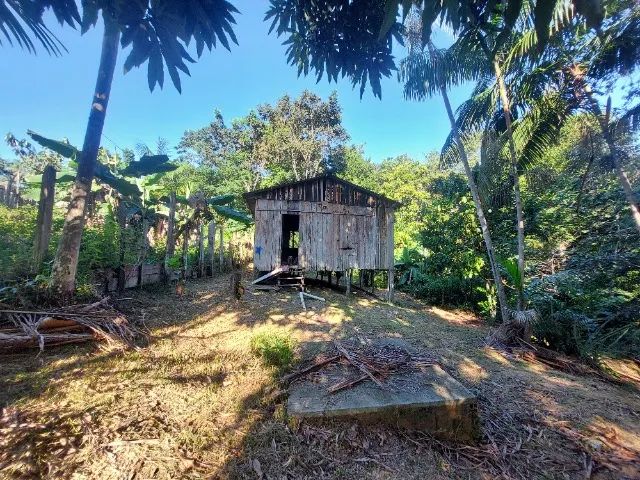 CASA DE MADEIRA EM TERRENO AMPLO CONSOLIDADO COM FRUTÍFERAS PRONTA PARA MORAR