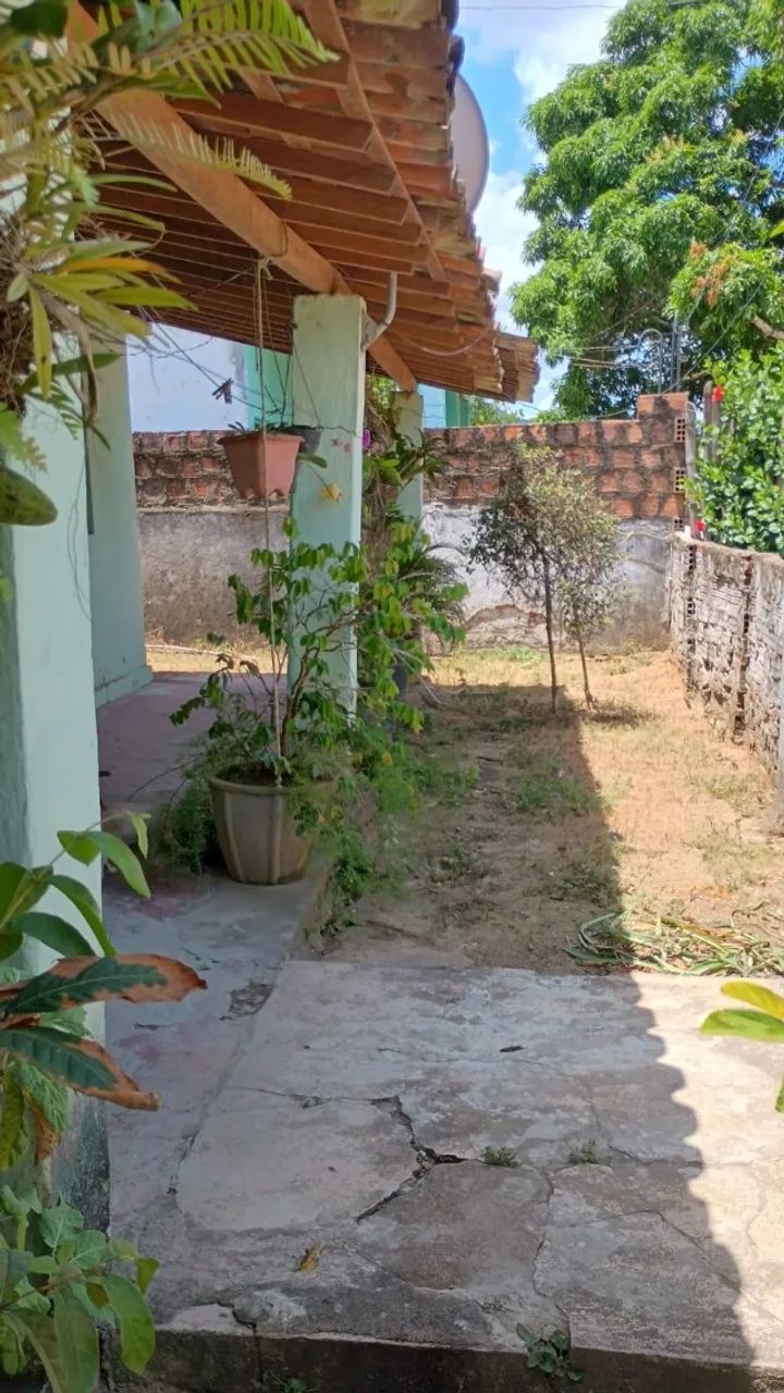 Sítio com casa sede, riacho, cacimba, muita água doce e fruteiras, com 1 hectare e meio - Foto 3