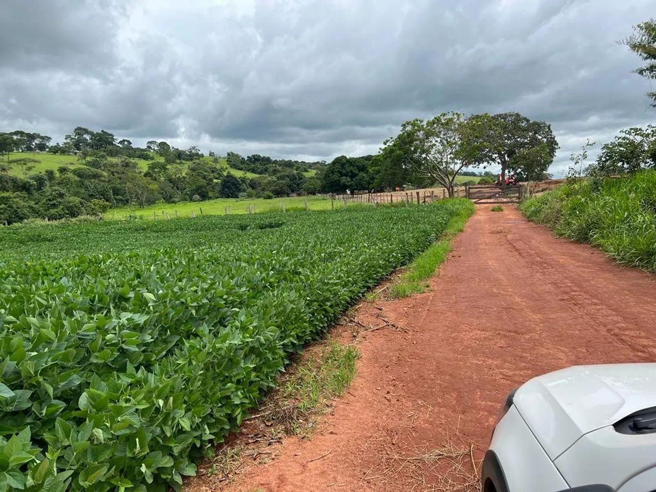 Chácara em Anicuns