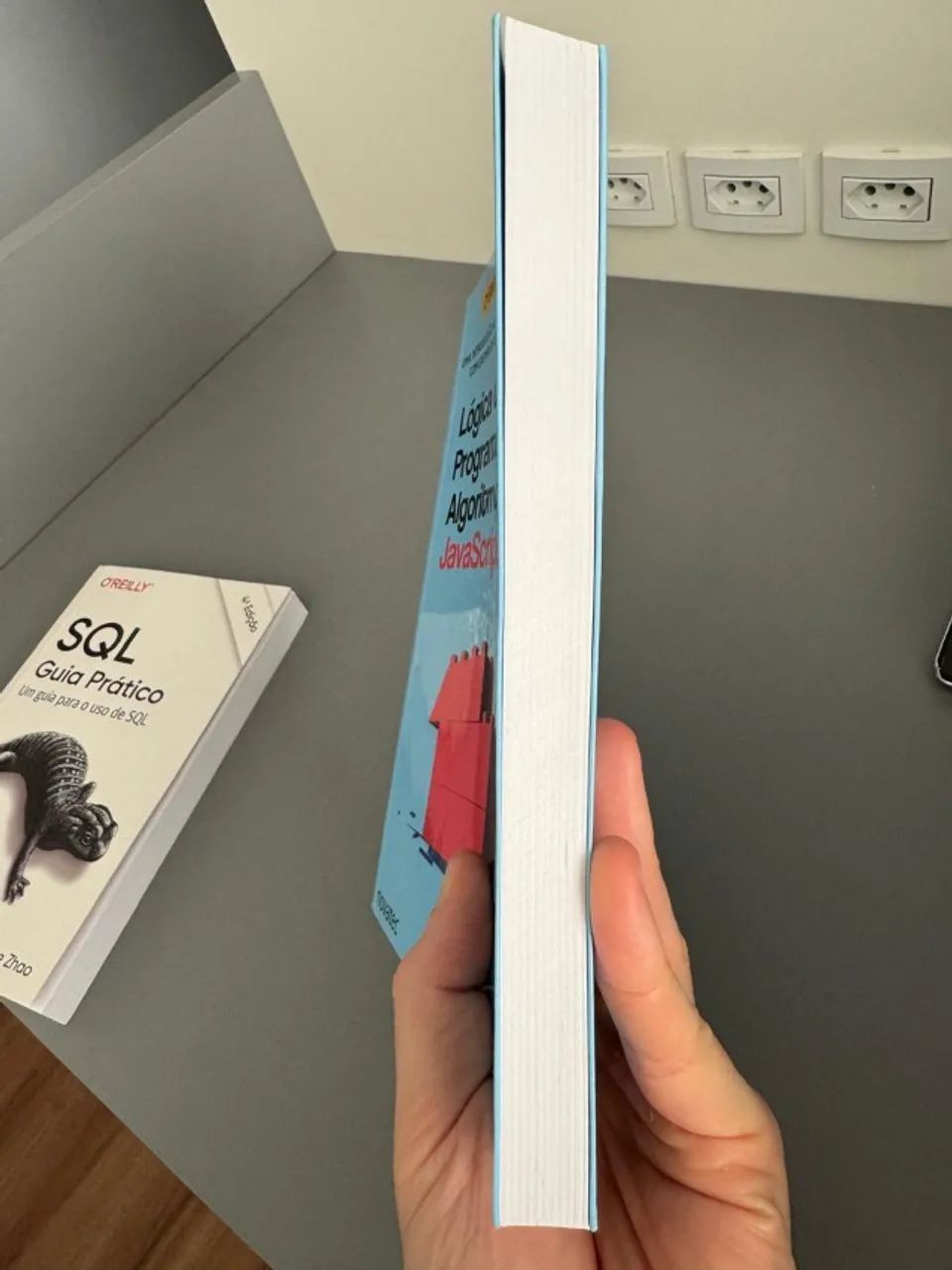 Livro Lógica de Programaçao e Algoritmos com JavaScript - Foto 4