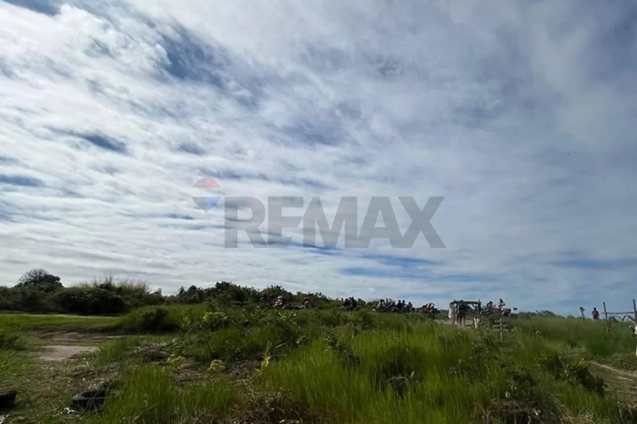Terreno entre o verde e o mar de Praia Bela - Foto 3
